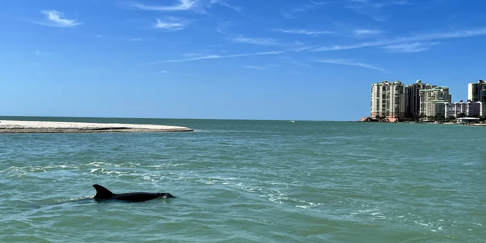 Marco Island Boat Tours